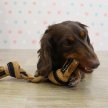 Фото 4 - іграшки DoggyMan Leather Rabbit with Rope жувальна іграшка для собак КІСТКА З ВУЗЛАМИ