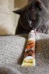 Фото 4 - для выведения шерсти Gimcat (Джимкет) ANTI-HAIRBALL DUO PASTE (ВЫВЕДЕНИЕ ШЕРСТИ ПАСТА ВКУС СЫРА) лакомство  для кошек