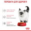 Фото 2 - вологий корм (консерви) Royal Canin KITTEN INSTINCTIVE in JELLY вологий корм для кошенят у віці 4-12 місяців