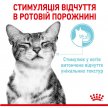 Фото - вологий корм (консерви) Royal Canin SENSORY FEEL GRAVY консерви для вибагливих кішок