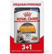 Фото - влажный корм (консервы) Royal Canin HAIR & SKIN Care in JELLY корм для кошек