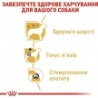 Фото 3 - влажный корм (консервы) Royal Canin POODLE LOAF (ПУДЕЛЬ) влажный корм для собак
