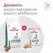Фото 9 - ветеринарные корма Royal Canin Glycobalance сухой лечебный корм для собак при сахарном диабете
