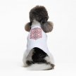 Фото 2 - одежда Pet Fashion Ukraine футболка для собак