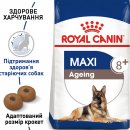 Фото - сухой корм Royal Canin MAXI AGEING 8+ (МАКСИ АЙДЖИНГ 8+) корм для собак крупных пород от 8 лет