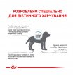 Фото - ветеринарні корми Royal Canin HYPOALLERGENIC PUPPY сухий лікувальний корм для цуценят