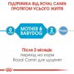 Фото - влажный корм (консервы) Royal Canin STARTER MOUSSE (СТАРТЕР МУС) влажный корм для щенков и сук при беременности и лактации