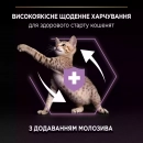 Фото - сухой корм Purina Pro Plan (Пурина Про План) Kitten Healthy Start сухой корм для котят до 12 месяцев КУРИЦА