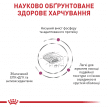 Фото 4 - ветеринарные корма Royal Canin RENAL SELECT RSE 24 сухой лечебный корм для кошек от 1 года