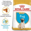 Фото - сухий корм Royal Canin PUG PUPPY (МОПС ПАППІ) корм для цуценята до 10 місяців