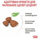 Фото - сухой корм Royal Canin X-SMALL PUPPY (ЩЕНКИ МЕЛКИХ ПОРОД) корм для щенков до 10 месяцев