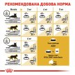 Фото - сухой корм Royal Canin SPHYNX (СФИНКС) корм для кошек от 1 года