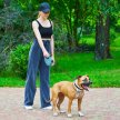 Фото 5 - рулетки WAUDOG R-leash поводок рулетка с контейнером для пакетов, светоотражающая лента, голубой