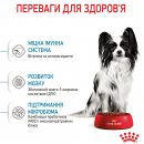 Фото - сухий корм Royal Canin X-SMALL PUPPY (ЦУЦЕНЯТА ДРІБНИХ ПОРОД) корм для цуценят до 10 місяців