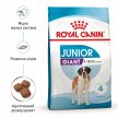 Фото 8 - сухой корм Royal Canin GIANT JUNIOR (ЮНИОРЫ ГИГАНТСКИХ ПОРОД) корм для щенков от 8-24 месяцев