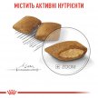 Фото 2 - сухой корм Royal Canin MINI EXIGENT (МИНИ ЭКСИДЖЕНТ ДЛЯ ПРИВЕРЕДЛИВЫХ В ЕДЕ) корм для собак мелких пород от 10 месяцев