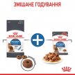 Фото - сухой корм Royal Canin Light Weight Care (ЛАЙТ ВЕЙТ КЕАР) сухой корм для взрослых кошек