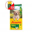 Фото 3 - сухий корм Josera YOUNG STAR сухий корм для цуценят середніх та великих порід