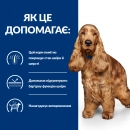 Фото - ветеринарные корма Hill's Prescription Diet Canine z/d Food Sensitivities корм для собак с чувствительным пищеварением