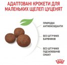 Фото - сухой корм Royal Canin MEDIUM PUPPY корм для щенков средних пород от 2 до 12 месяцев