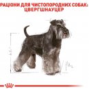 Фото - сухий корм Royal Canin MINIATURE SCHNAUZER ADULT (МІНІАТЮРЕ ШНАУЦЕР ЕДАЛТ) корм для собак від 10 місяців