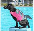 Фото 2 - рятувальні жилети Fovis Derby Fish Design рятувальний жилет для собак, рожевий