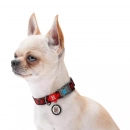 Фото - амуниция Collar WAUDOG Nylon ошейник нейлоновый c QR паспортом, пластиковый фастекс, ШОТЛАНДКА КРАСНАЯ