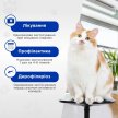 Фото 5 - от блох и клещей Modes Квадромидас-C таблетки от блох, клещей и гельминтов для кошек