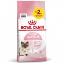 Фото - сухий корм Royal Canin Mother & Babycat (БЕБІКЕТ) сухий корм для кошенят 1-4 місяці, вагітних та лактуючих