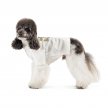 Фото 2 - одяг Pet Fashion Ostap вишиванка для собак