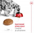 Фото 3 - сухий корм Royal Canin MEDIUM ADULT 7+ (СОБАКИ СЕРЕДНІХ ПОРІД ЕДАЛТ 7+) корм для собак від 7 років