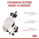 Фото - сухой корм Royal Canin Mother & Babycat (БЕБИКЭТ) cухой корм для котят 1-4 месяца, беременных и лактирующих