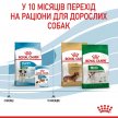 Фото 14 - сухий корм Royal Canin MINI PUPPY корм для цуценят дрібних порід від 2 до 10 місяців