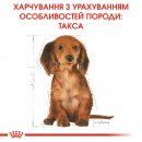 Фото - сухой корм Royal Canin DACHSHUND PUPPY (ТАКСА ПАППИ) корм для щенков до 10 месяцев