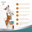 Фото 8 - хондропротекторы 8in1(8в1) EXCEL GLUCOSAMIN (ЕКСЕЛЬ ГЛЮКОЗАМИН) пищевая добавка для собак