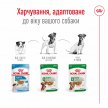Фото 6 - вологий корм (консерви) Royal Canin MINI ADULT вологий корм для дорослих собак дрібних порід від 10 місяців до 12 років