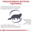 Фото 2 - сухой корм Royal Canin MATURE CONSULT ветеринарная диета для пожилых котов и кошек старше 7 лет без видимых признаков старения