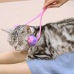 Фото 7 - расчески, щетки CattyMan Cat Massager роликовый массажер для кошек