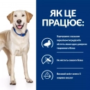 Фото - ветеринарні корми Hill's Prescription Diet d/d Food Sensitivities корм для собак з качкою та рисом