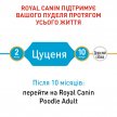 Фото 3 - сухий корм Royal Canin POODLE PUPPY корм для цуценят пуделя до 10 місяців