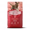Фото - сухий корм Carnilove Active Venison & Reindeer & Wild Boar сухий беззерновий корм для собак ОЛЕНИНА та ДИКИЙ КАБАН