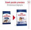 Фото 6 - сухий корм Royal Canin MAXI ADULT (СОБАКИ ВЕЛИКИХ ПОРІД ЕДАЛТ) корм для собак до 5 років