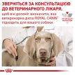 Фото - ветеринарні корми Royal Canin SENSITIVITY CONTROL with CHICKEN лікувальний вологий корм для собак при харчовій алергії