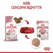 Фото - вологий корм (консерви) Royal Canin KITTEN LOAF вологий корм для кошенят віком 4-12 місяців