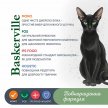 Фото 3 - вологий корм (консерви) Baskerville Holistic вологий корм для котів КЕНГУРУ та КОТЯЧА М'ЯТА