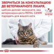 Фото - ветеринарные корма Royal Canin SKIN & COAT лечебные консервы для кошек для поддержания здоровья кожи и шерсти