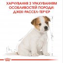 Фото - сухой корм Royal Canin JACK RUSSELL PUPPY (ДЖЕК РАССЕЛ ПАППИ) корм для щенков до 10 месяцев