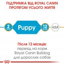 Фото - сухой корм Royal Canin FRENCH BULLDOG PUPPY (ФРАНЦУЗCКИЙ БУЛЬДОГ ПАППИ) корм для щенков до 12 месяцев