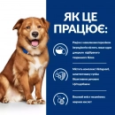 Фото - ветеринарные корма Hill's Prescription Diet Canine Derm Complete корм для собак при пищевой аллергии и атопическом дерматите ЯЙЦО и РИС