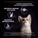 Фото - сухой корм Purina Pro Plan (Пурина Про План) Kitten Healthy Start сухой корм для котят до 12 месяцев КУРИЦА